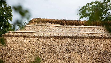 Nendriniai stogai Rum&scaron;i&scaron;kių Lietuvos liaudies buities muziejuje