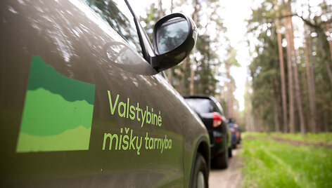 Ekskursija Punios &scaron;ile