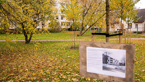 Vieta Žirmūnuose, kur planuojamos daugiabučio statybos