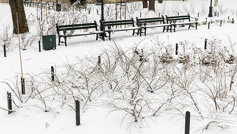 Reformatų parkas