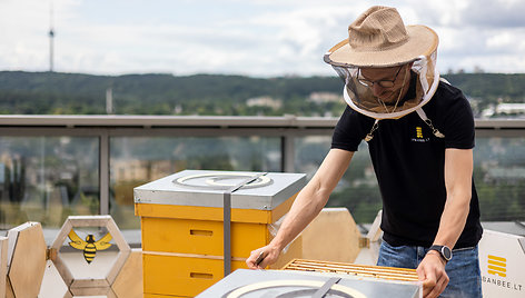 Urbanbee.lt įkūrėjas Paulius Chockevičius