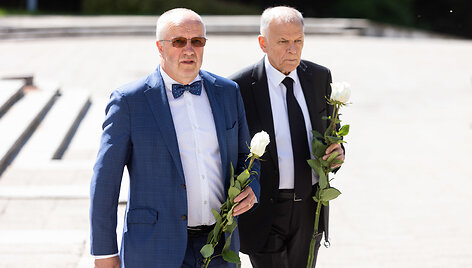 Juozas Olekas, Vytenis Povilas Andriukaitis