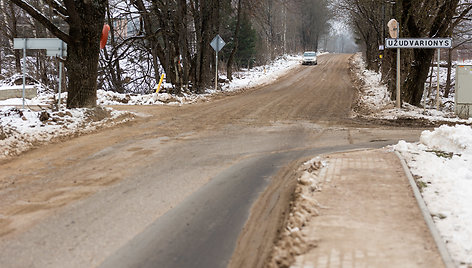 Liepų gatvė, Užudvarionys