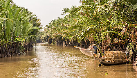 Mekongo delta