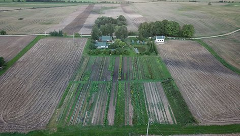 Rutkauskų sodyba iš paukščio skrydžio