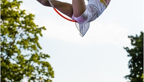 &Scaron;akių cirko mokykla