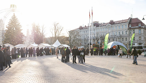 Katedros aikštėje dovanojamos eglių ir pušų šakas