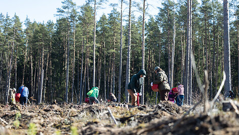 Visoje Lietuvoje vyko nacionalinis mi&scaron;kasodis