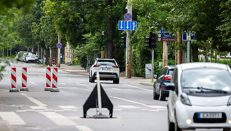Žveryne dingo elektra
