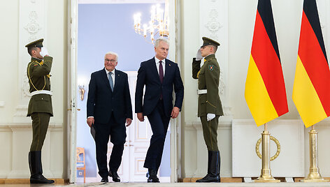Frankas Walteris Steinmeieris, Gitanas Nausėda