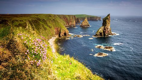 Dankansbio kyšulys (Duncansby Head)