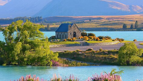 Tekapo ežero pakrantė, Naujoji Zelandija