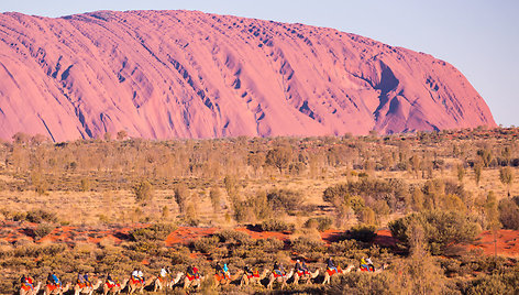 Pramogos prie Uluru uolos įdienojus, Šiaurės Australija