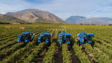 Žemės ūkis, agroturizmas