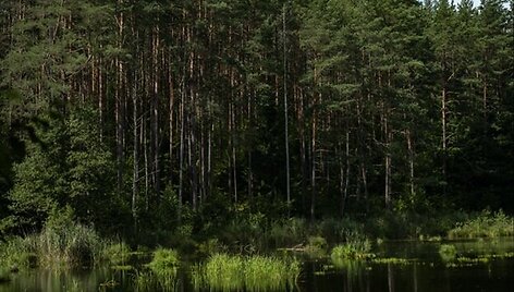 Sengirės fondo saugomas Rusakalnio mi&scaron;kas