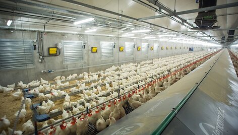 &bdquo;KG Group&ldquo; Jačiūnų veislinių pauk&scaron;čių auginimo kompleksas