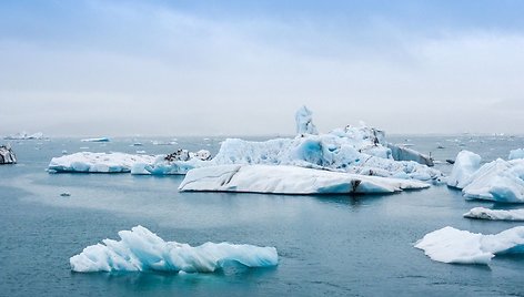 Mokslininkai: klimato kaita jau tiek pažengusi, kad atskirų iniciatyvų nebeužtenka