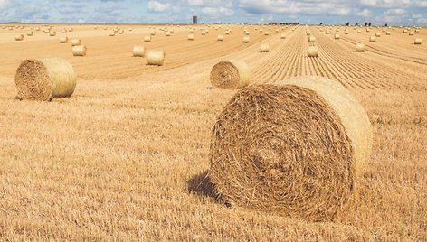 Bauskės pramonės ir logistikos parkas – būsimas verslo stuburas Žiemgaloje