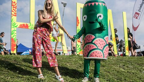 &bdquo;USAD&ldquo; vasaros festivaliuose