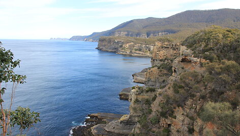 Tasmanijos sala 