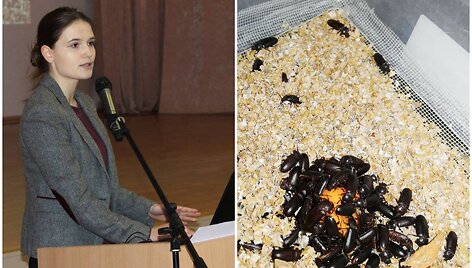Mantė &Scaron;idlauskaitė ir jos auginami didieji milčiai