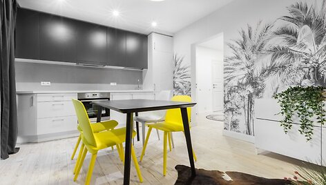 Monochrominis Justini&scaron;kių butas