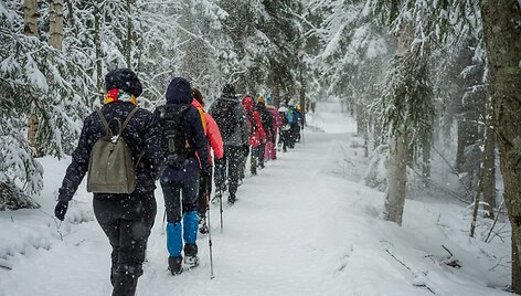 Kelionė į Suomijos Repovesi nacionalinį parką ir trijų dienų pėsčiųjų žygis