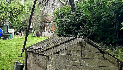 Camino Lituano kelias: nuo Pakruojo iki Kėdainių