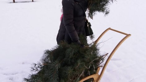  Kristina Kani&scaron;auskaitė-&Scaron;altmerė
