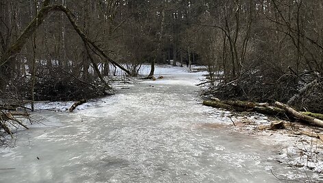 Kaunietė Geda Juchnevičė dalyvauja žingsnių i&scaron;&scaron;ūkyje, o ėjimas &ndash; neatsiejama jos kasdienybės dalis 