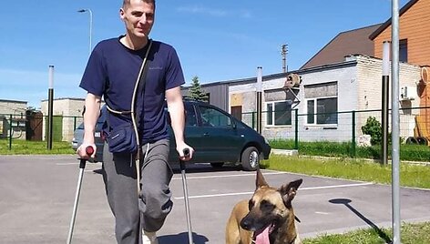 Giedriaus augintinė belgų aviganė &Scaron;aita