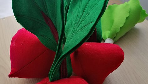 Sutuoktiniai Tadas ir Rūta sukūrė socialinį verslą 