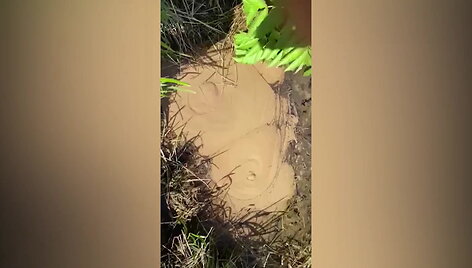 5fc90a8145b2evideo_5fc90a6a58e60
