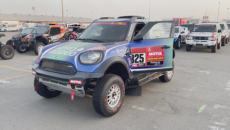 mini