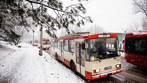 Narbuto gatvėje vėl strigo troleibusų eismas 