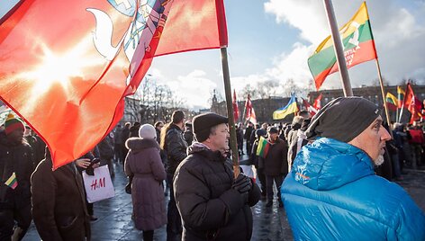 Kovo 11-osios Patriotinės eitynės: Vyčio grąžinimas