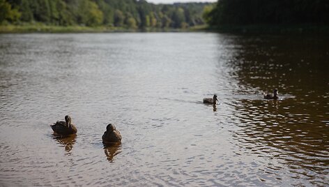 Valakampių paplūdimys po vasaros sezono
