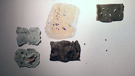 Eglė Maskaliūnaitė Butkuvienė &bdquo;Mink&scaron;ta/kieta&ldquo;