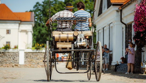 Didžiausias pasaulyje asilas, erelis ant rankos arba elektros kėdė gėlių festivalyje? Tai realu! 