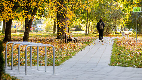 Rinktinės g.