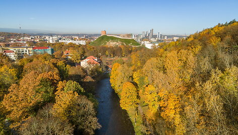 Seniūnaičiai: Vilnių kuria žinomi ir nežinomi vilniečiai