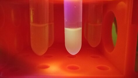 Merry CRISPR workshop, Bioart Society 2017 