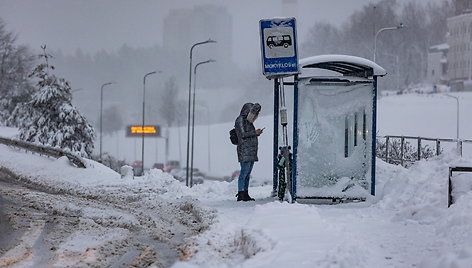 Snygis Vilniuje