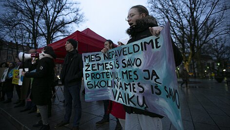 Demonstracijos akimirka