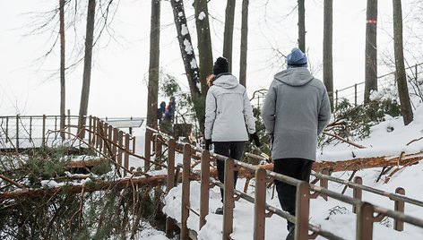 Sekmadienio popietė Pavilnių regioniniame parke