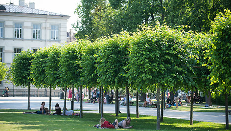 +31°C karščio Vilniuje