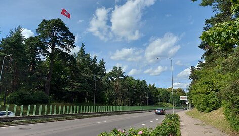 Vytis Geležinio vilko gatvėje