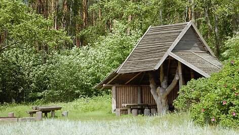 Rožių krūmo poilsiavietė