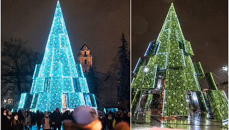 Vilniaus kaledu egle