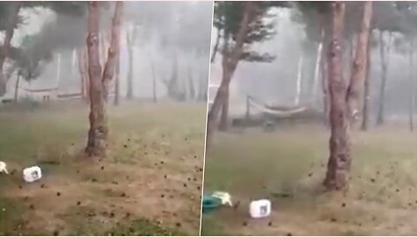 Trakų rajone nuo audros lūžo medžiai